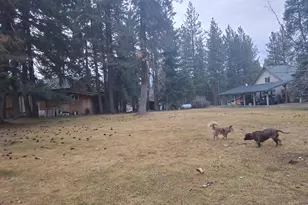 15922 Green Springs Hwy, Ashland, OR 97520 - Photo 95