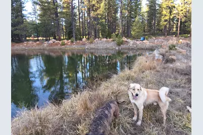 15922 Green Springs Highway, Ashland, OR 97520 - Photo 35