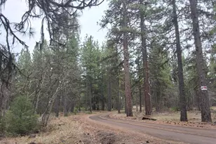 15922 Green Springs 66 Hwy, Ashland, OR 97520 - Photo 33