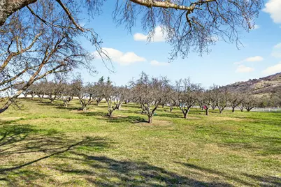 3320 N Foothill Road, Medford, OR 97504 - Photo 79