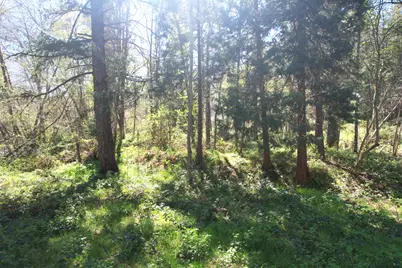 3356 Little Applegate Road, Jacksonville, OR 97530 - Photo 67