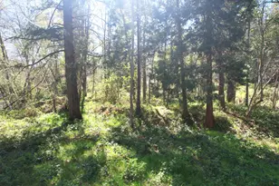 3356 Little Applegate Rd, Jacksonville, OR 97530 - Photo 63