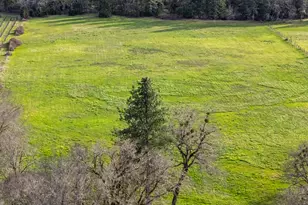 5395 Deer Creek Rd, Selma, OR 97538 - Photo 33