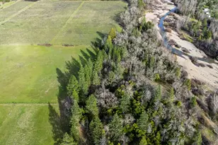 5395 Deer Creek Rd, Selma, OR 97538 - Photo 39