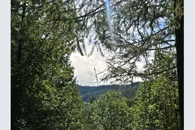 5395 Deer Creek Road, Selma, OR 97538 - Photo 15