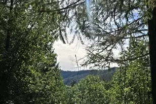 5395 Deer Creek Rd, Selma, OR 97538 - Photo 15