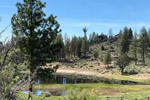 33341 Indian Lake Dr, Sprague River, OR 97639 - Photo 63