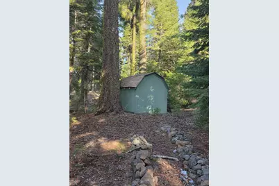 5560 E Hyatt Lake Road #Cabin 2A, Ashland, OR 97520 - Photo 9