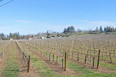 0 Griffin Creek Road, Medford, OR 97501 - Photo 5