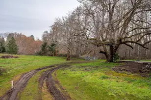 175 Deer Creek Rd, Selma, OR 97538 - Photo 21