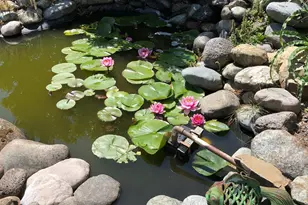 521 Seclusion Loop, Grants Pass, OR 97526 - Photo 69