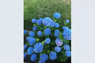 521 Seclusion Loop, Grants Pass, OR 97526 - Photo 73