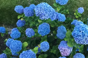 521 Seclusion Loop, Grants Pass, OR 97526 - Photo 73