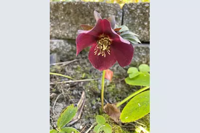 521 Seclusion Loop, Grants Pass, OR 97526 - Photo 75