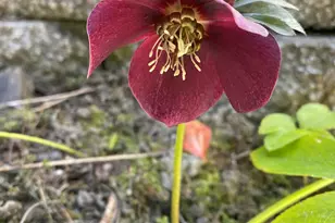 521 Seclusion Loop, Grants Pass, OR 97526 - Photo 75