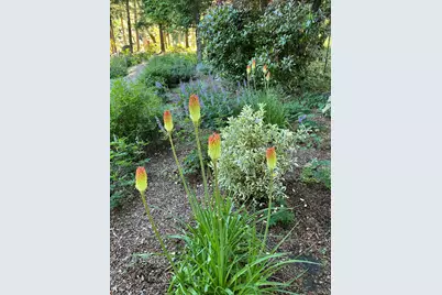 521 Seclusion Loop, Grants Pass, OR 97526 - Photo 43