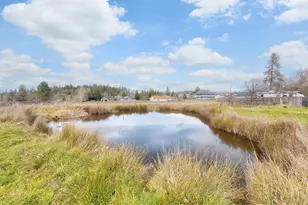 2015 Sleepy Hollow Loop, Grants Pass, OR 97527 - Photo 41