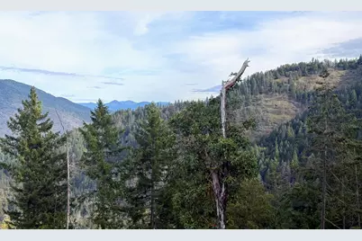 0 Savage Creek Rd Tl2502, Rogue River, OR 97537 - Photo 9