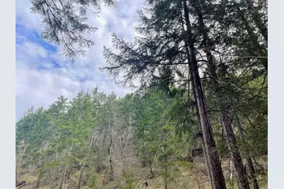 0 Savage Creek Rd Tl2502, Rogue River, OR 97537 - Photo 25