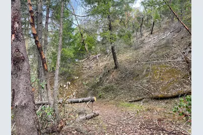 0 Savage Creek Rd Tl2502, Rogue River, OR 97537 - Photo 21