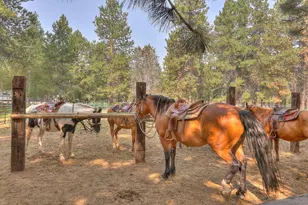 18575 SW Century Dr, Bend, OR 97702 - Photo 37