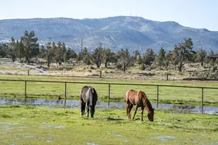 2441 SW Minson Rd, Powell Butte, OR 97753 - Photo 35