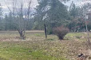 282 Reagor Ln, Cave Junction, OR 97523 - Photo 9