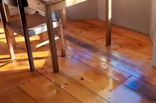 282 Reagor Ln, Cave Junction, OR 97523 - Photo 13