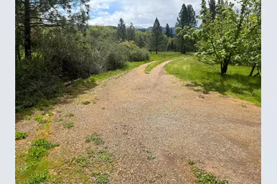 282 Reagor Lane, Cave Junction, OR 97523 - Photo 7