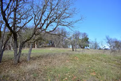 12940 Highway 234, Gold Hill, OR 97525 - Photo 5