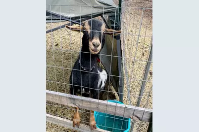 137127 Main Street, Crescent, OR 97733 - Photo 43