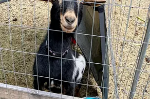 137127 Main St, Crescent, OR 97733 - Photo 43