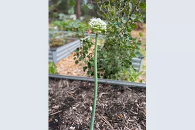 137127 Main Street, Crescent, OR 97733 - Photo 35