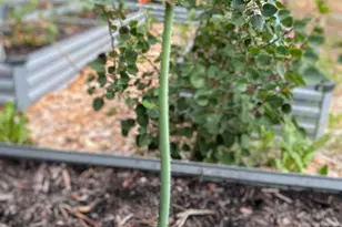 137127 Main St, Crescent, OR 97733 - Photo 35