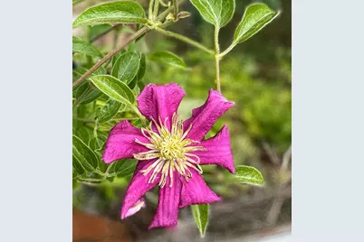 137127 Main Street, Crescent, OR 97733 - Photo 25