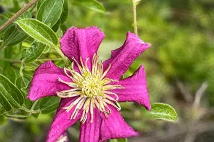 137127 Main St, Crescent, OR 97733 - Photo 25