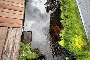 137127 Main St, Crescent, OR 97733 - Photo 47