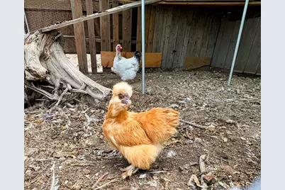 137127 Main Street, Crescent, OR 97733 - Photo 37