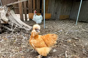 137127 Main St, Crescent, OR 97733 - Photo 37