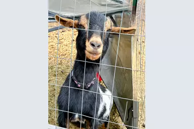 137127 Main Street, Crescent, OR 97733 - Photo 45