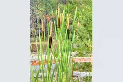 137127 Main Street, Crescent, OR 97733 - Photo 21