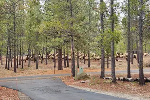 17839 Lava Butte Ln, Sunriver, OR 97707 - Photo 33