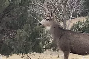 58400 4-K Overlook Ln, John Day, OR 97845 - Photo 31