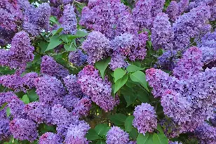 129 Henry St, Klamath Falls, OR 97601 - Photo 31