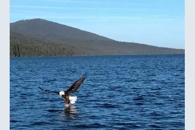 59 Royce Mountain Way, Crescent Lake, OR 97733 - Photo 7