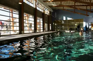 17171 SW Chaparral Dr, Powell Butte, OR 97753 - Photo 51