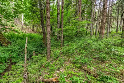 2922 Anderson Creek Road, Talent, OR 97540 - Photo 37