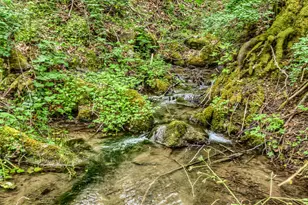 2922 Anderson Creek Rd, Talent, OR 97540 - Photo 39