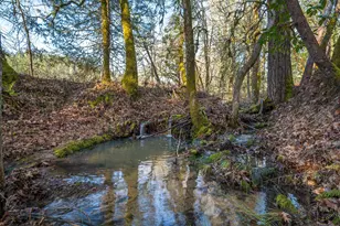 424 Genverna Glen, Grants Pass, OR 97527 - Photo 17