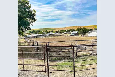 260 N E Street, Lexington, OR 97839 - Photo 3